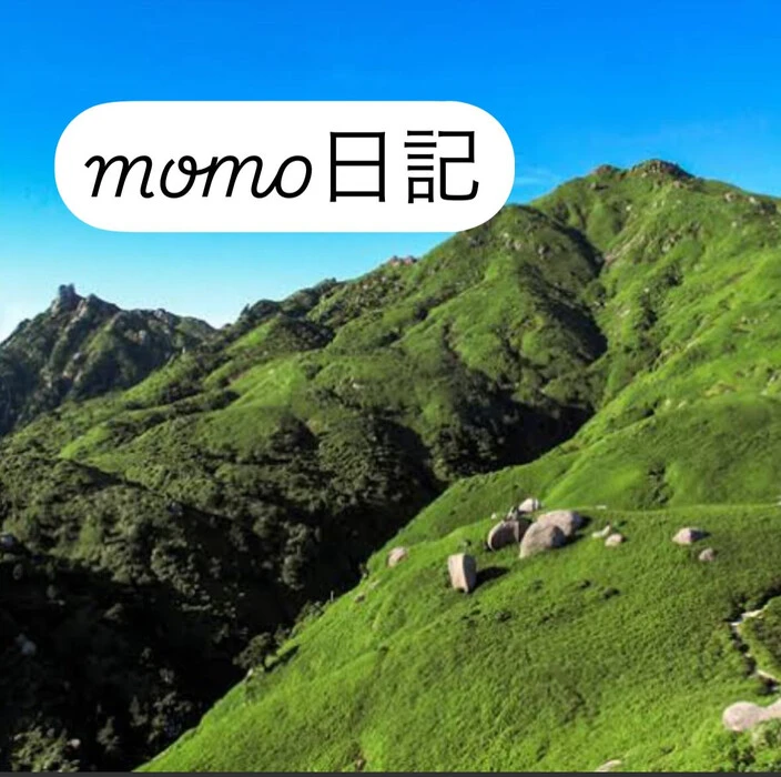 画像248