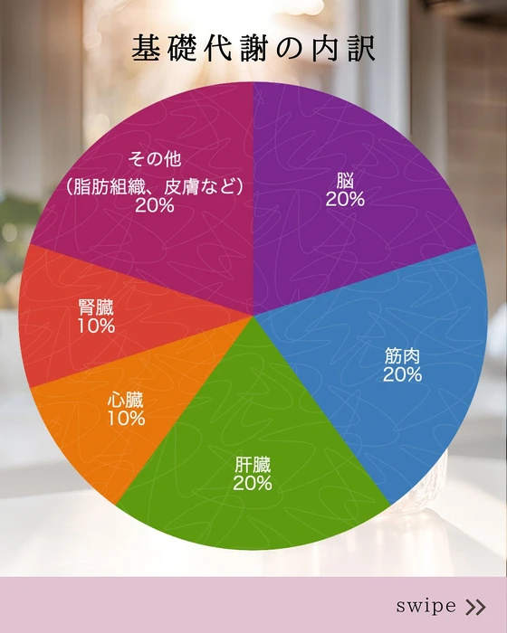 画像459