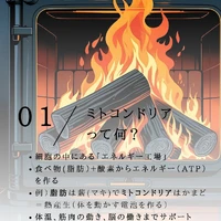 画像502