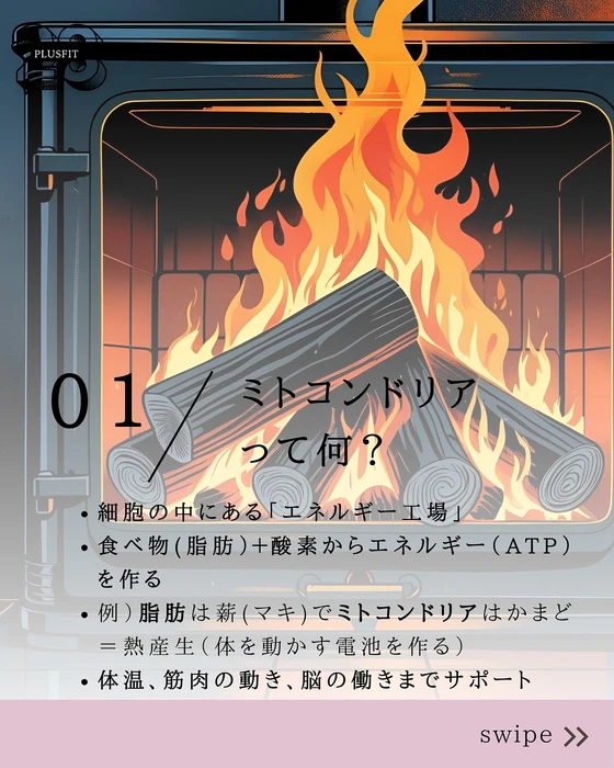 画像502