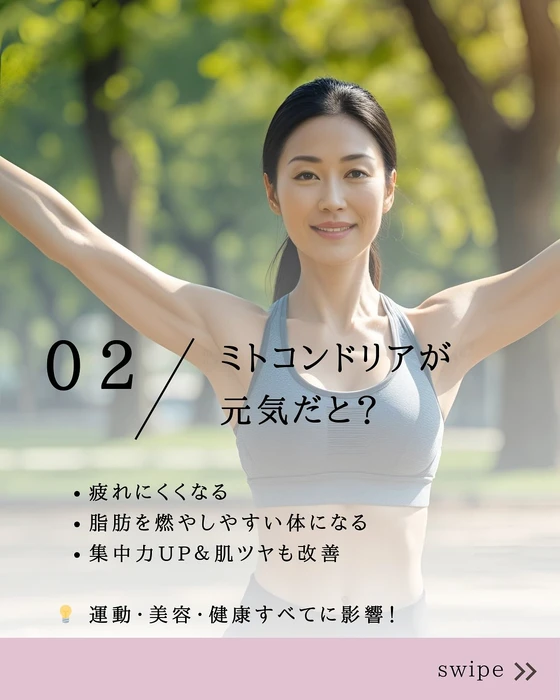 画像503