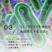 画像504