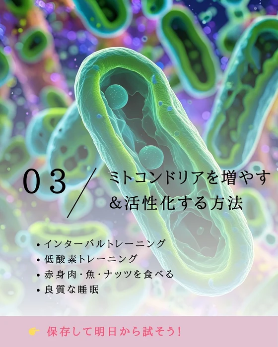 画像504