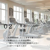 画像524