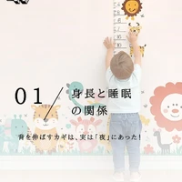 画像584